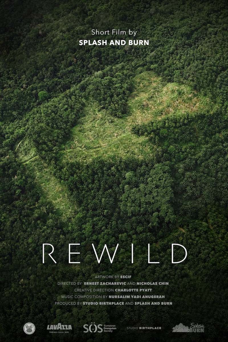 FFV 2023: Rewild